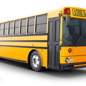 lewis-bus-group-header